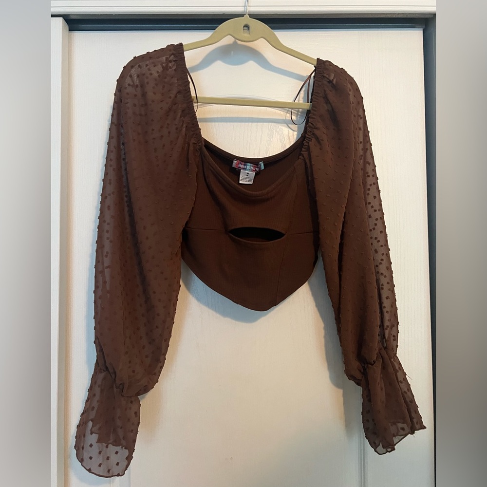 Brown Urban Outfitters Cropped Long Sleeve Top